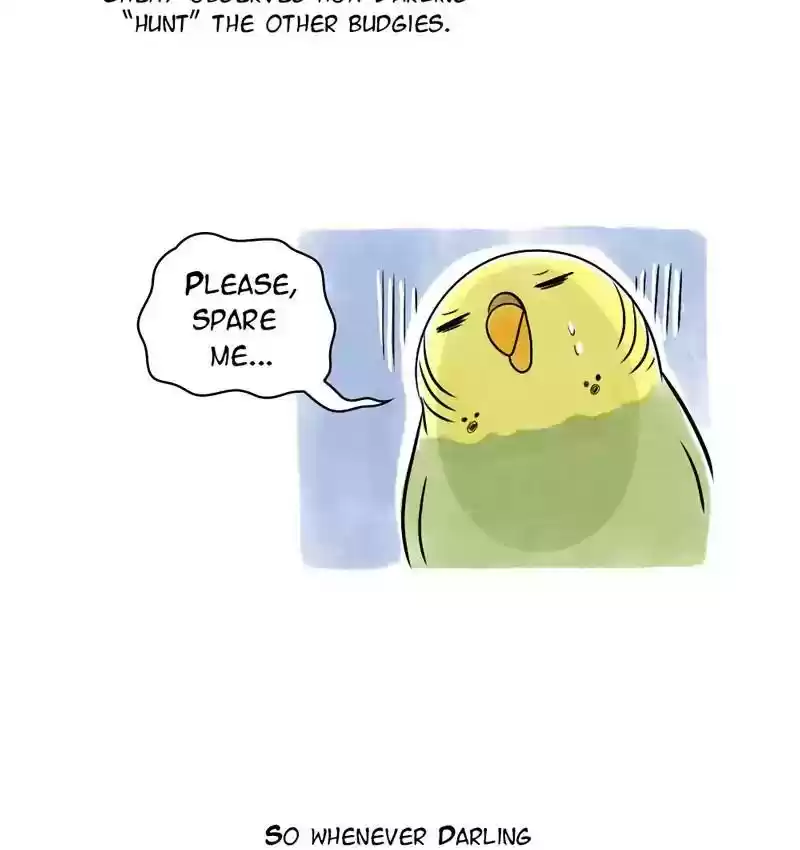 A Budgie's Life Chapter 109: Ep.109: