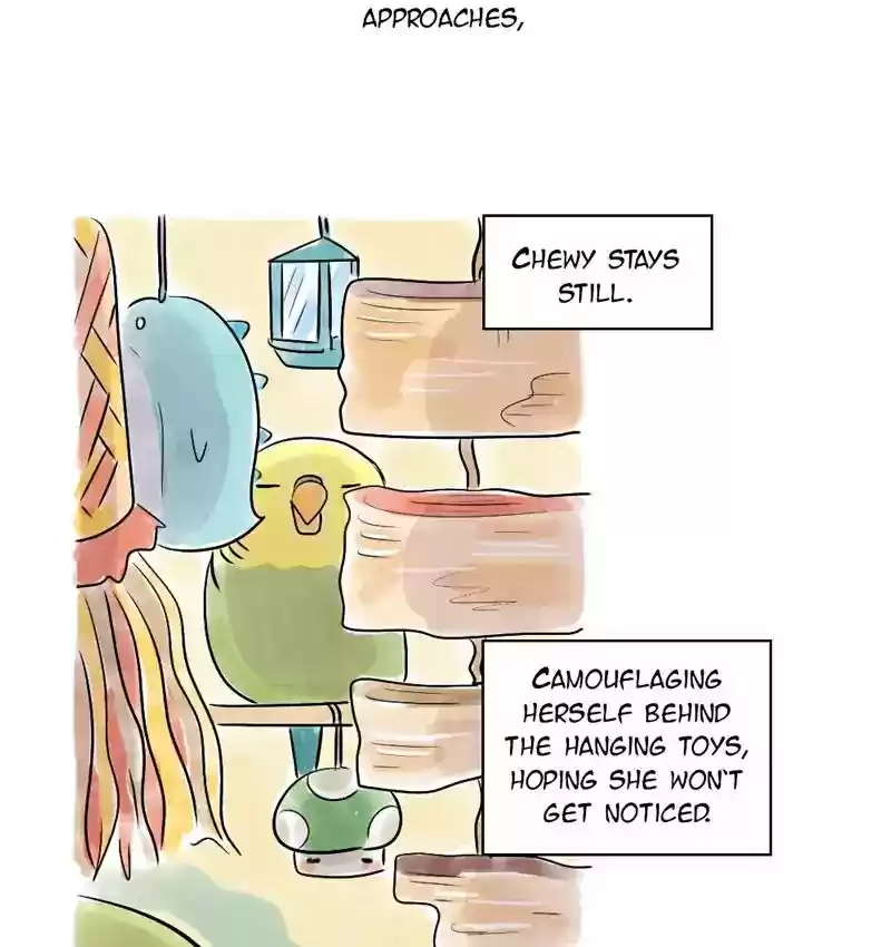 A Budgie's Life Chapter 109: Ep.109: