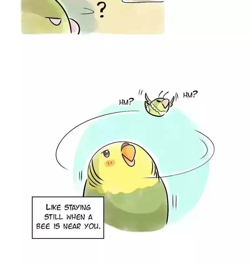 A Budgie's Life Chapter 109: Ep.109: