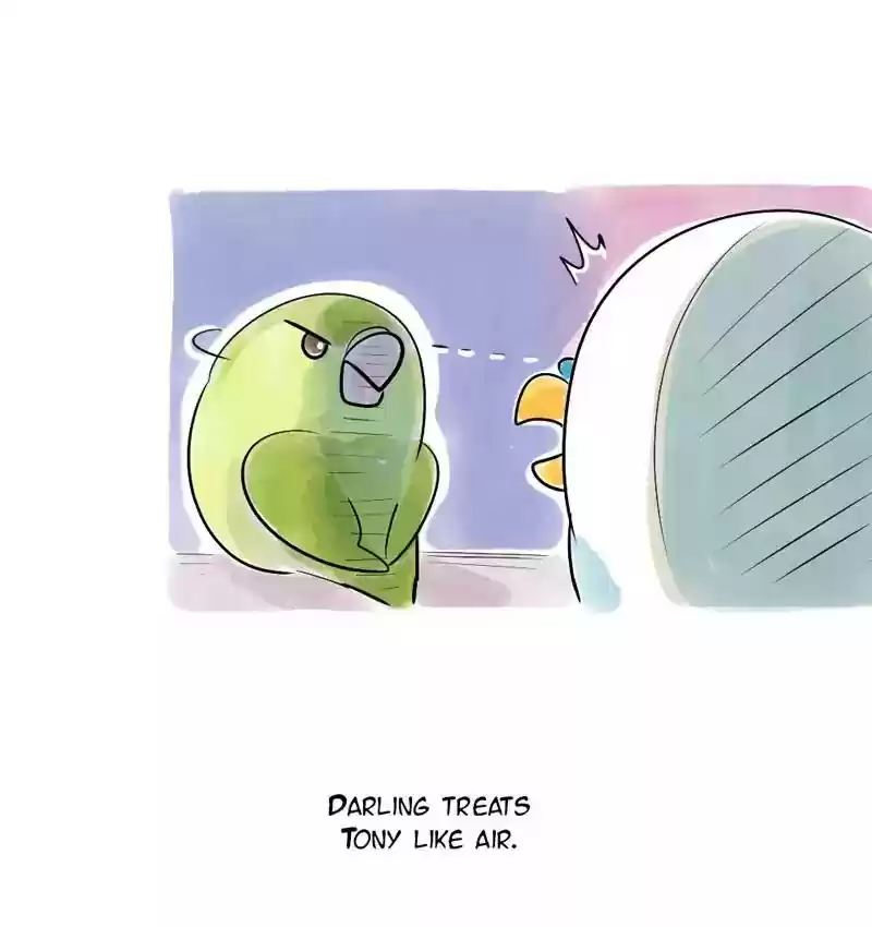 A Budgie's Life Chapter 109: Ep.109: