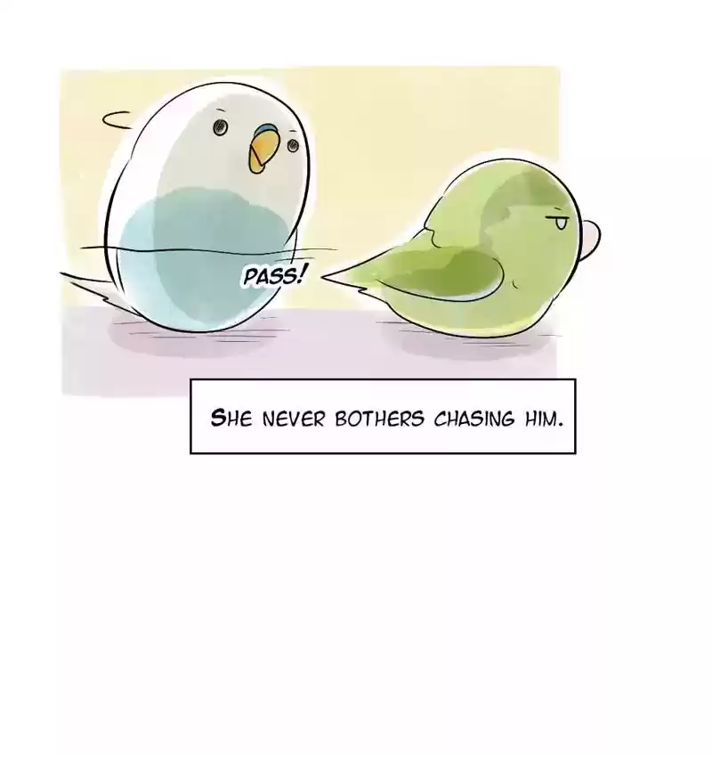 A Budgie's Life Chapter 109: Ep.109: