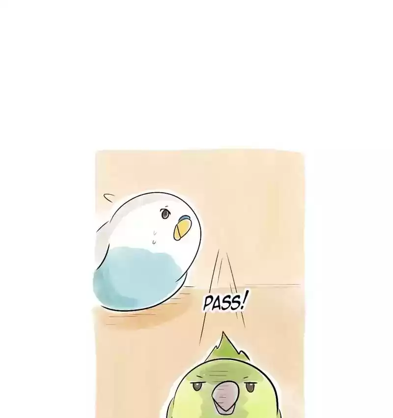 A Budgie's Life Chapter 109: Ep.109: