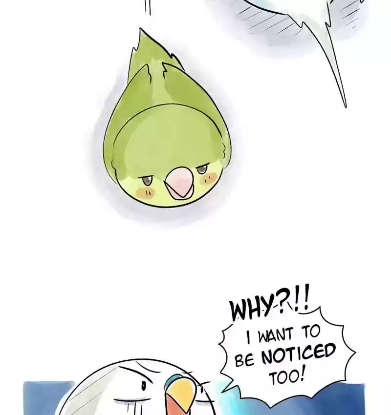 A Budgie's Life Chapter 109: Ep.109: