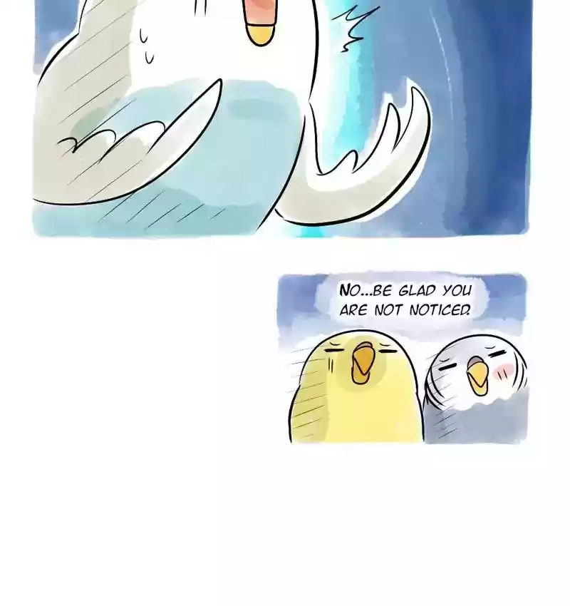 A Budgie's Life Chapter 109: Ep.109:
