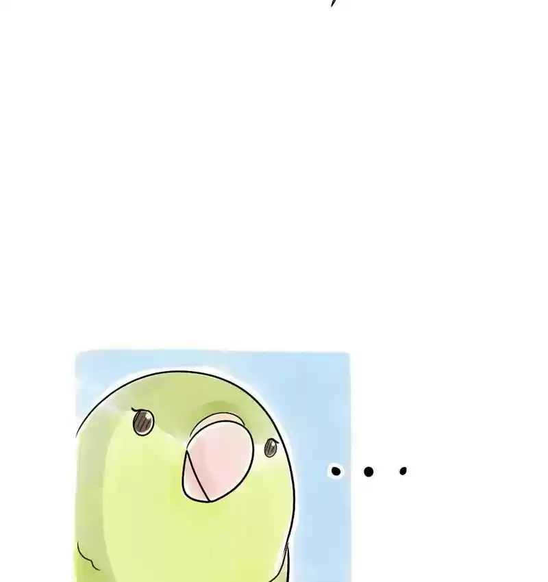 A Budgie's Life Chapter 109: Ep.109: