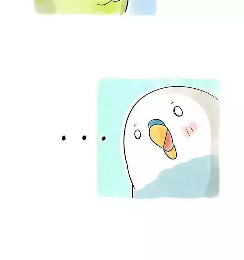 A Budgie's Life Chapter 109: Ep.109: