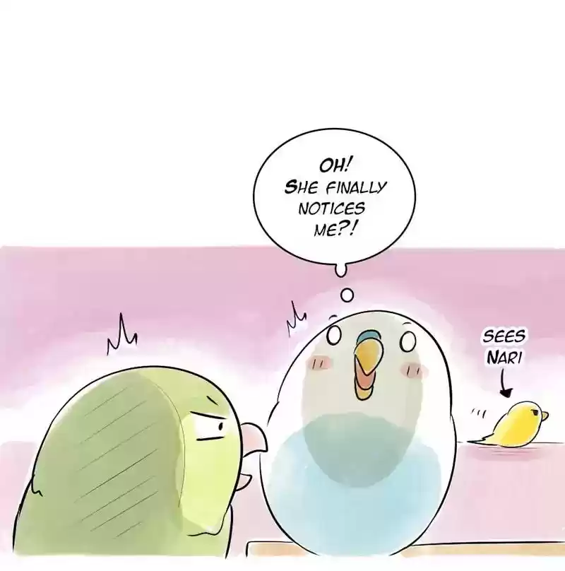A Budgie's Life Chapter 109: Ep.109:
