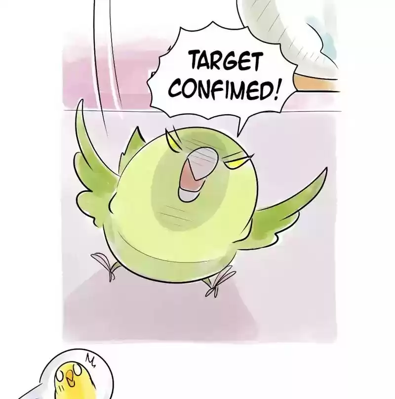 A Budgie's Life Chapter 109: Ep.109: