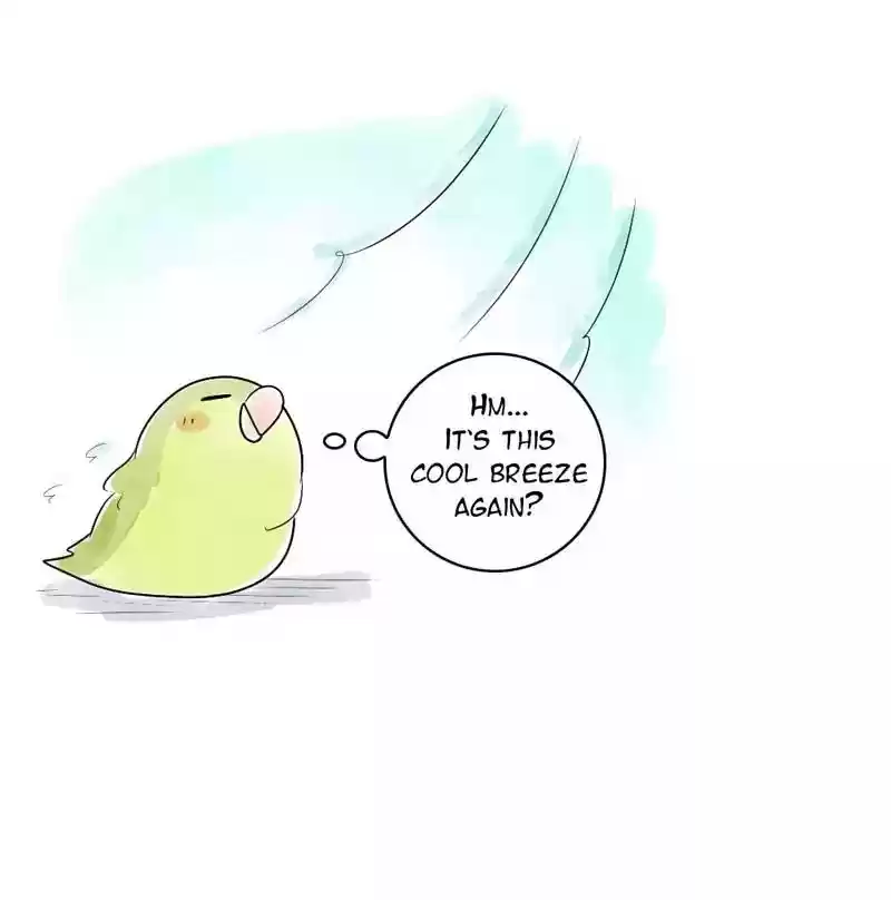 A Budgie's Life Chapter 109: Ep.109: