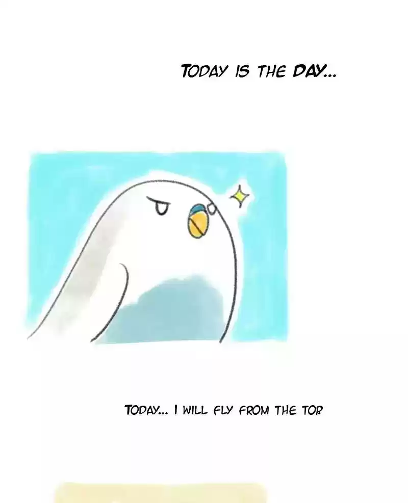 A Budgie's Life Chapter 11: Ep.11: