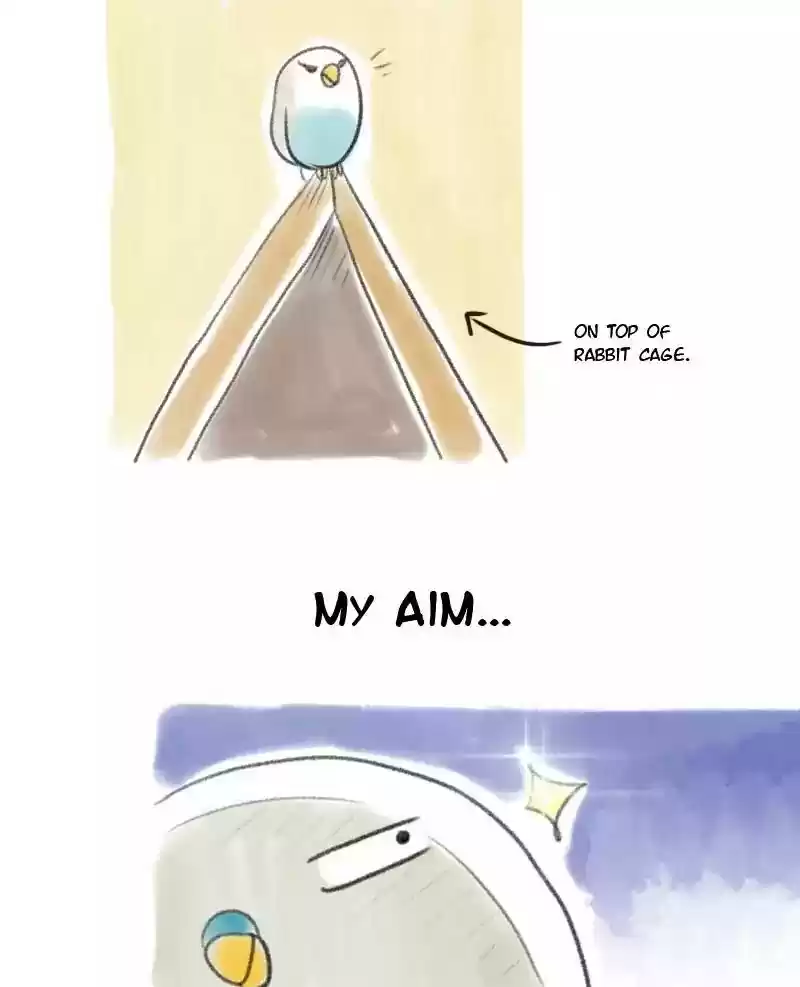 A Budgie's Life Chapter 11: Ep.11: