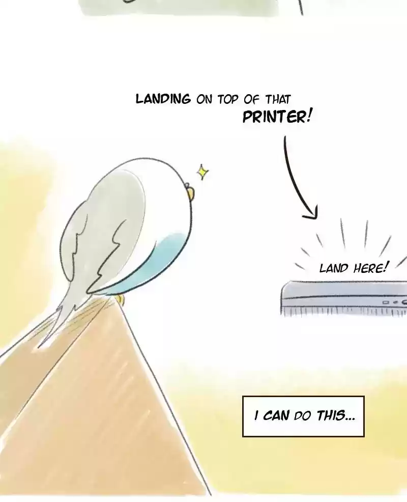 A Budgie's Life Chapter 11: Ep.11: