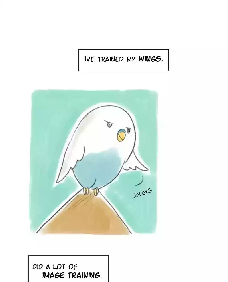 A Budgie's Life Chapter 11: Ep.11: