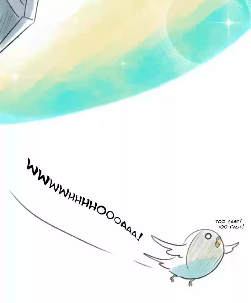 A Budgie's Life Chapter 11: Ep.11: