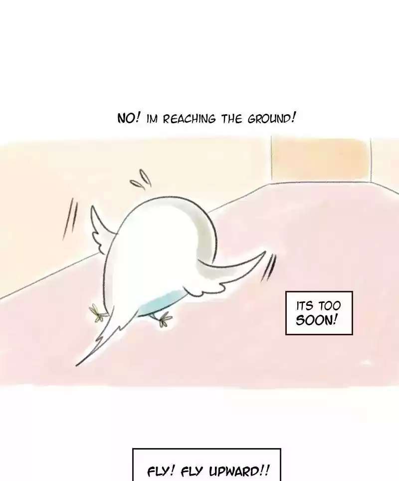 A Budgie's Life Chapter 11: Ep.11: