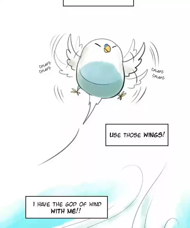 A Budgie's Life Chapter 11: Ep.11: