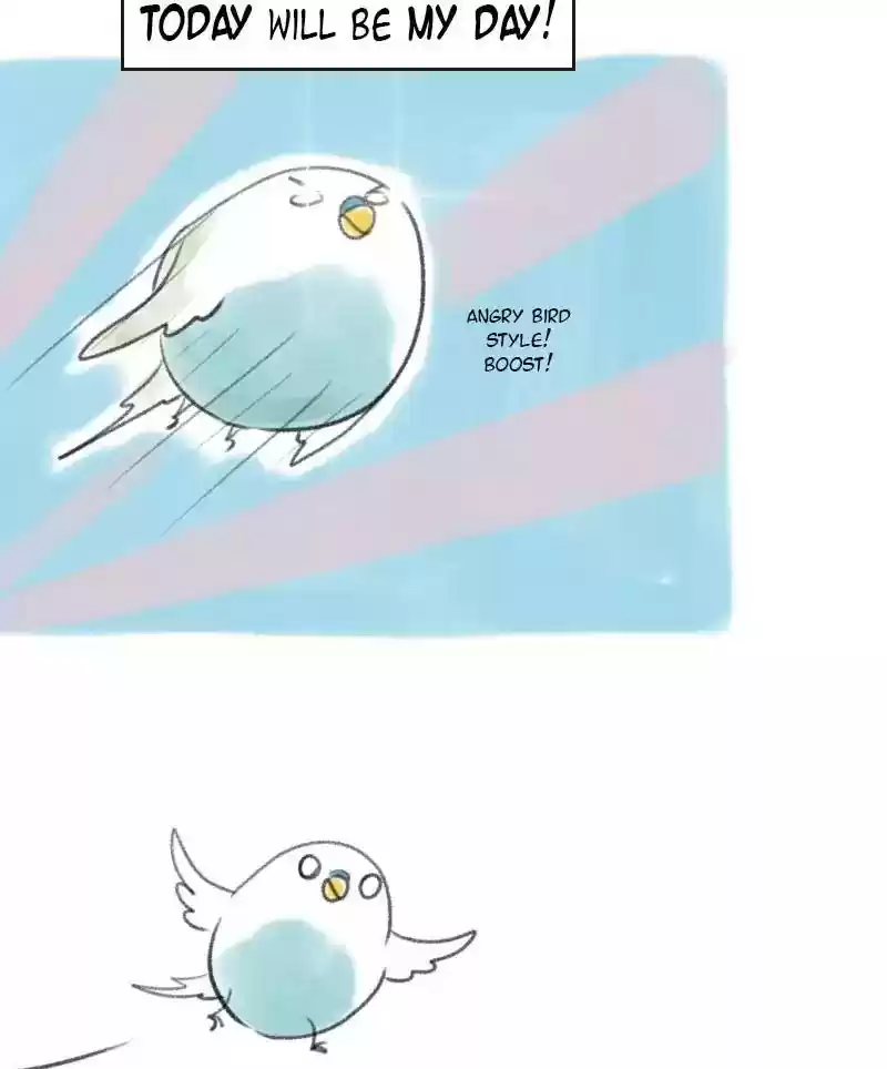 A Budgie's Life Chapter 11: Ep.11: