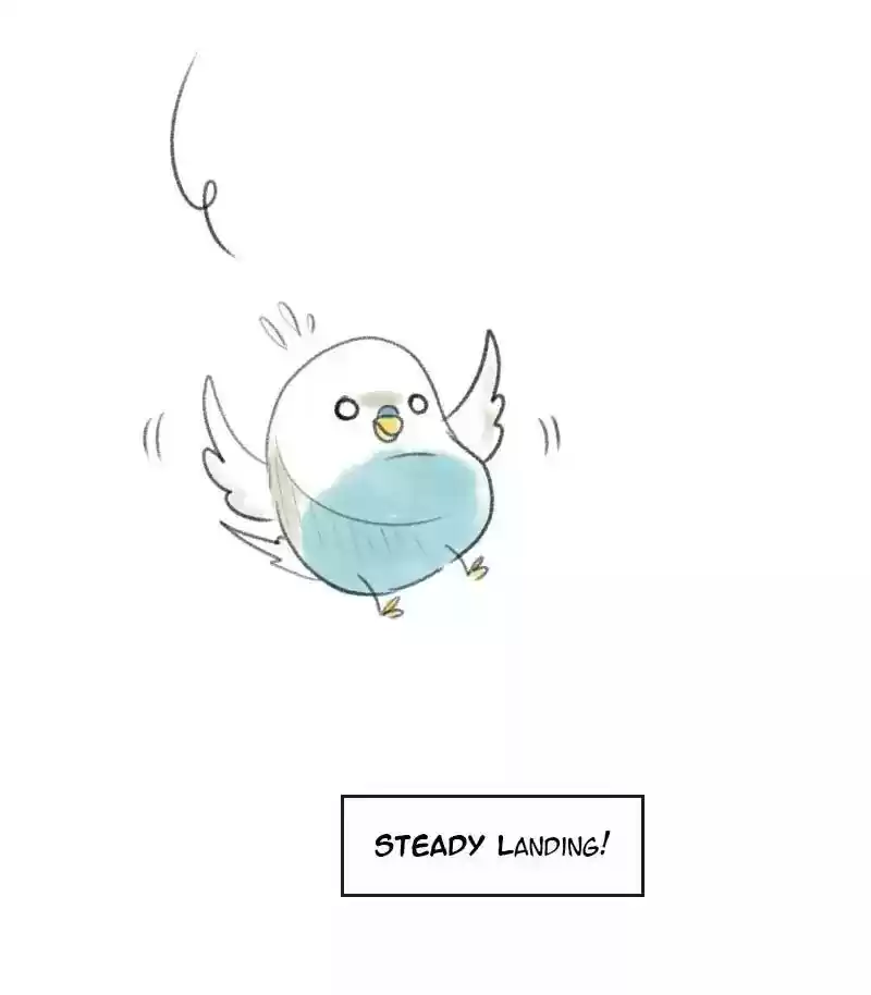A Budgie's Life Chapter 11: Ep.11: