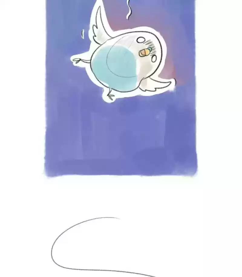 A Budgie's Life Chapter 11: Ep.11: