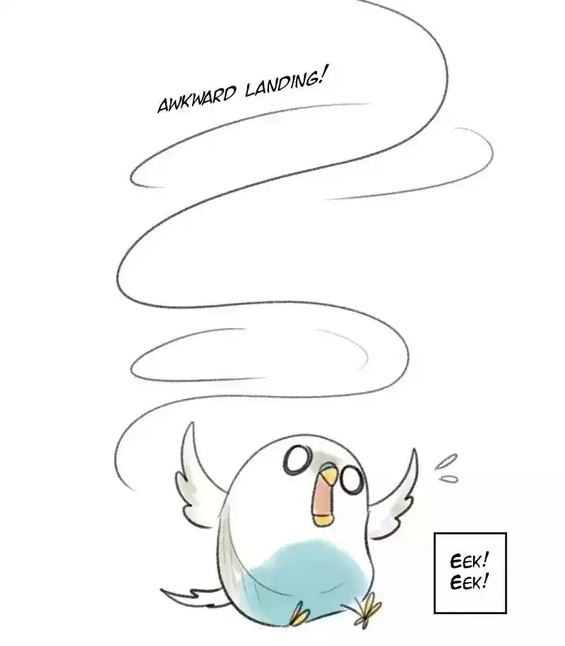 A Budgie's Life Chapter 11: Ep.11: