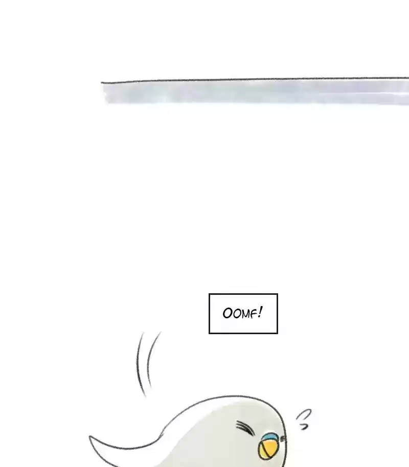 A Budgie's Life Chapter 11: Ep.11: