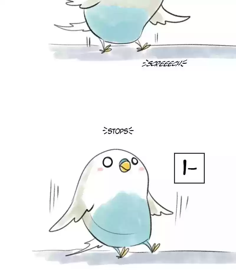 A Budgie's Life Chapter 11: Ep.11: