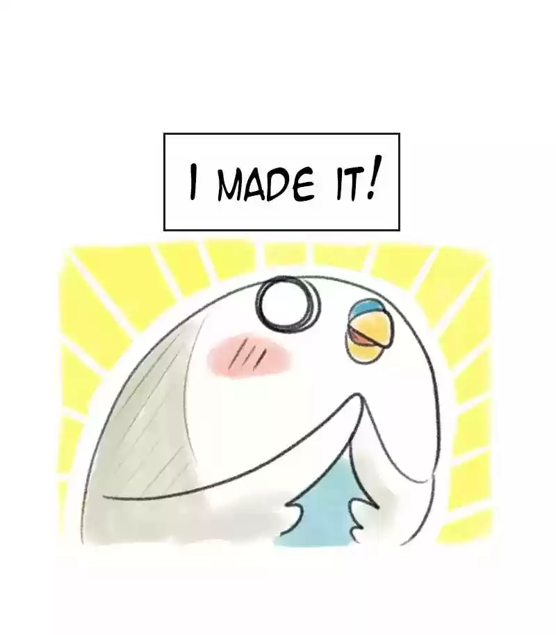 A Budgie's Life Chapter 11: Ep.11: