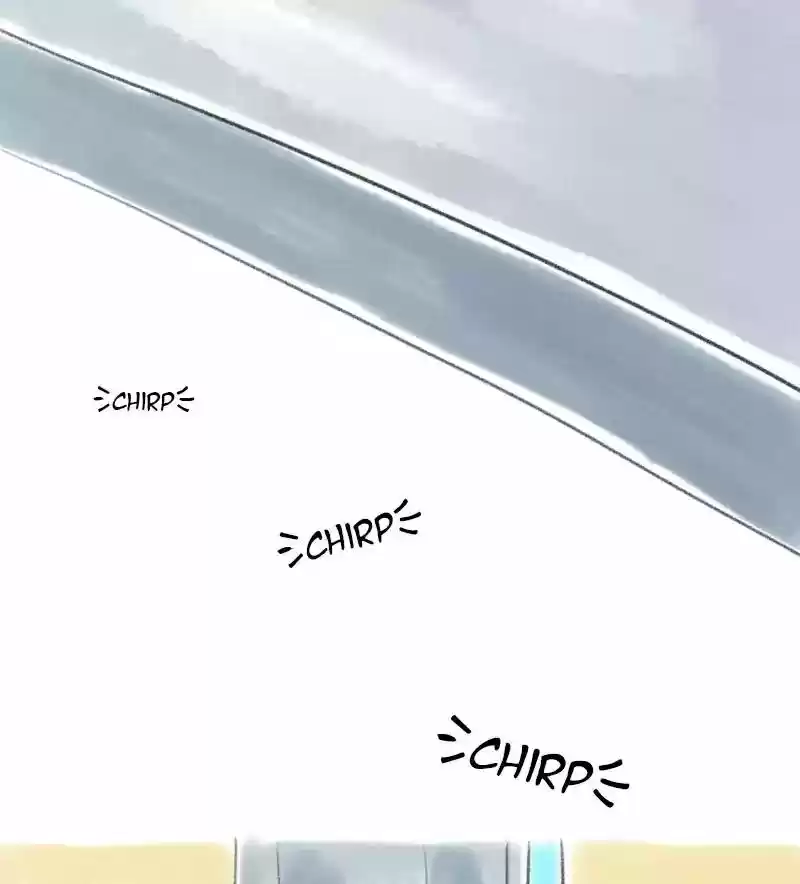 A Budgie's Life Chapter 11: Ep.11: