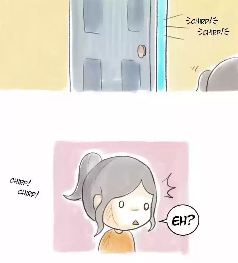 A Budgie's Life Chapter 11: Ep.11: