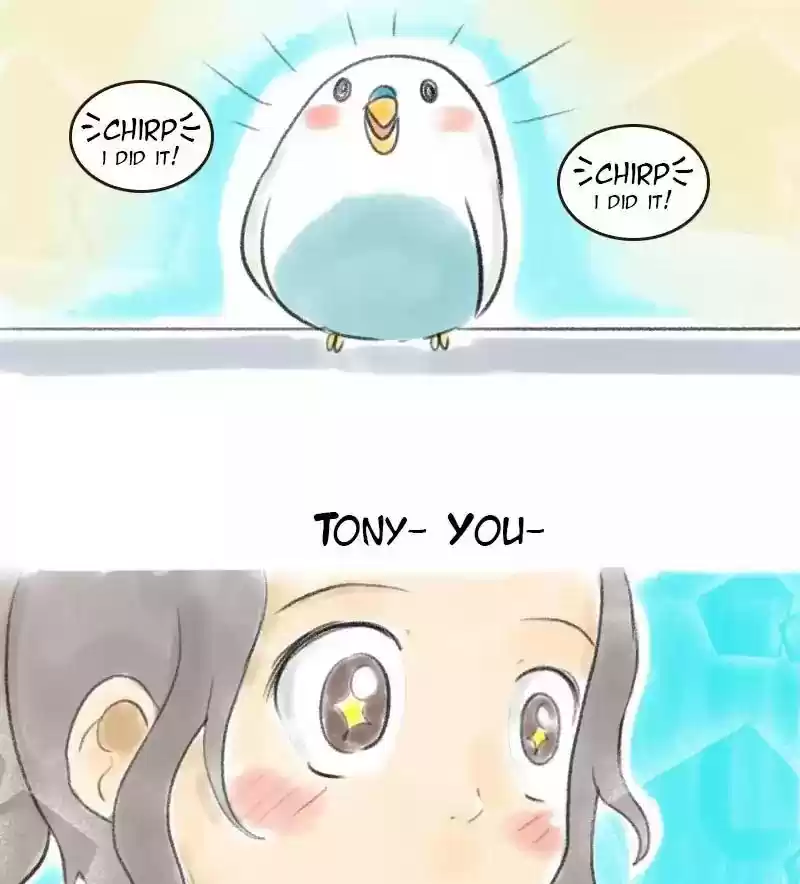 A Budgie's Life Chapter 11: Ep.11: