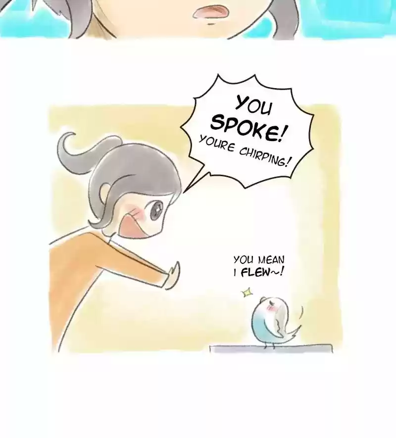 A Budgie's Life Chapter 11: Ep.11: