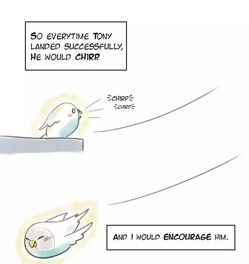 A Budgie's Life Chapter 11: Ep.11: