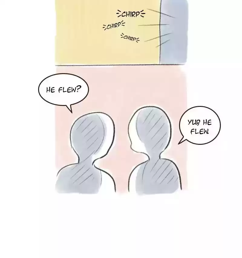 A Budgie's Life Chapter 11: Ep.11: