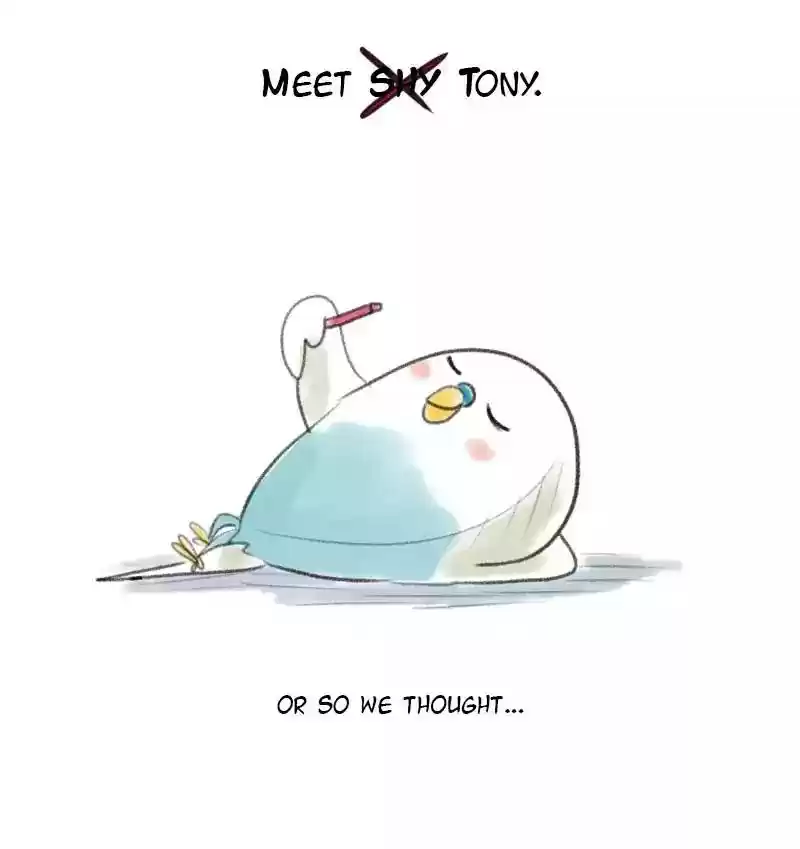 A Budgie's Life Chapter 11: Ep.11: