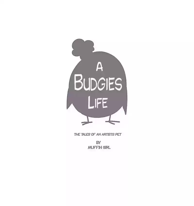 A Budgie's Life Chapter 11: Ep.11: