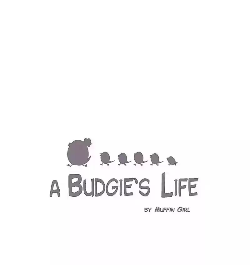A Budgie's Life Chapter 110: Ep.110: