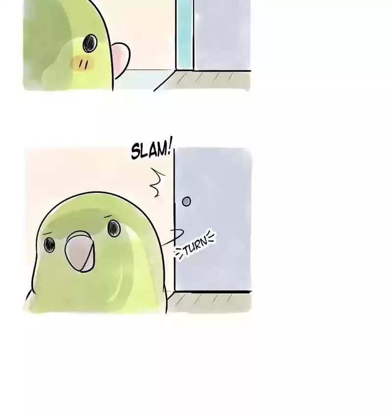 A Budgie's Life Chapter 110: Ep.110: