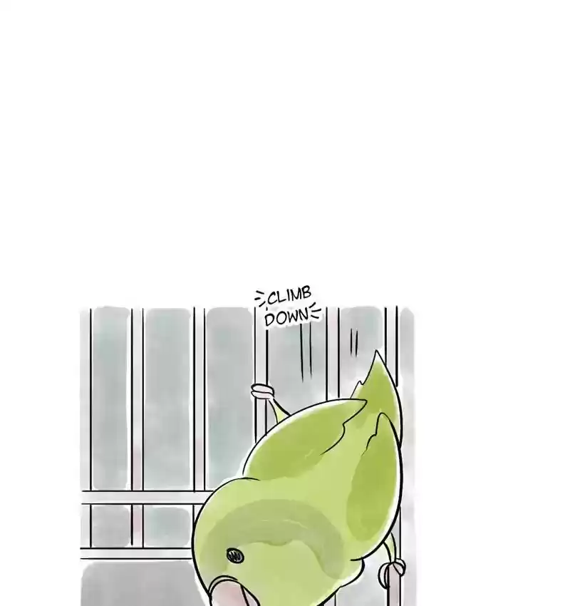 A Budgie's Life Chapter 110: Ep.110: