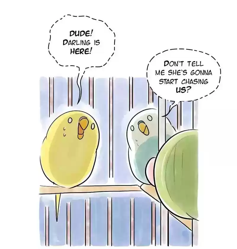 A Budgie's Life Chapter 110: Ep.110: