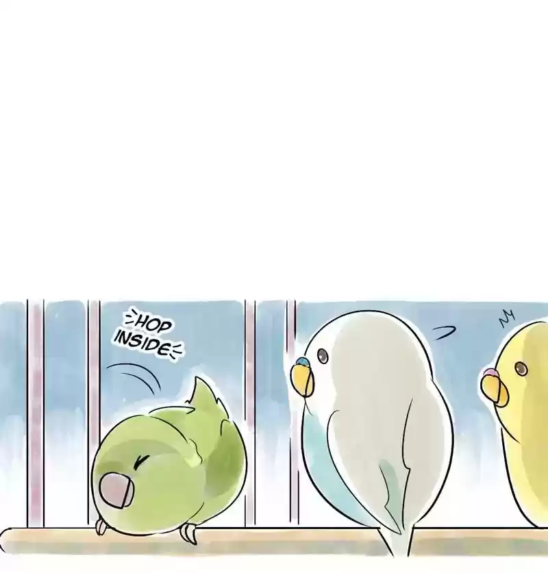 A Budgie's Life Chapter 110: Ep.110: