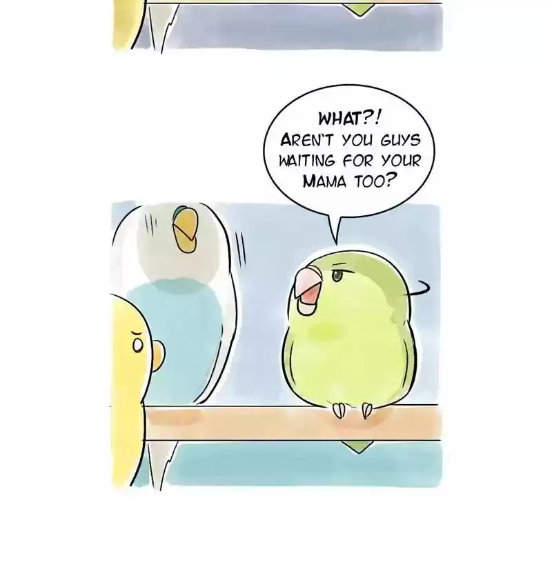 A Budgie's Life Chapter 110: Ep.110: