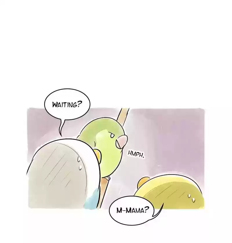 A Budgie's Life Chapter 110: Ep.110: