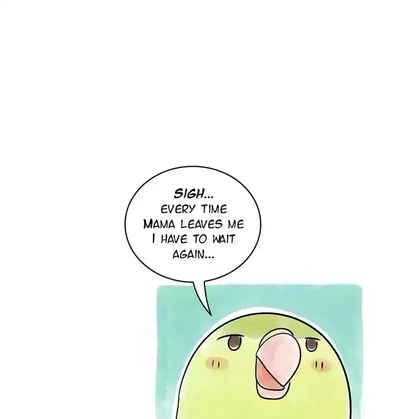 A Budgie's Life Chapter 110: Ep.110:
