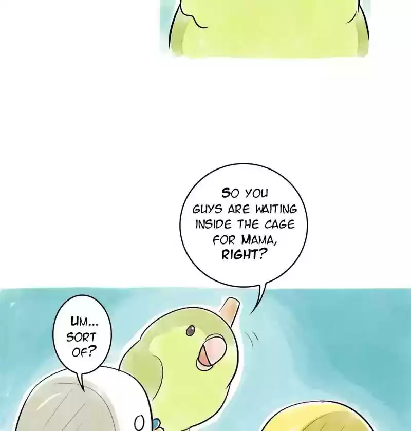 A Budgie's Life Chapter 110: Ep.110:
