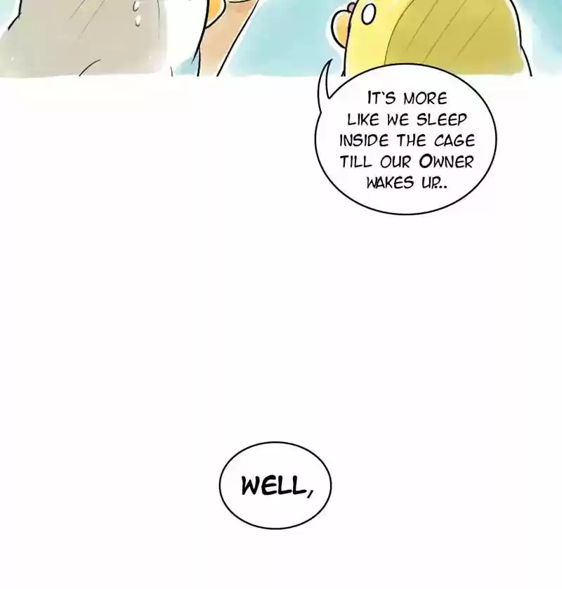 A Budgie's Life Chapter 110: Ep.110: