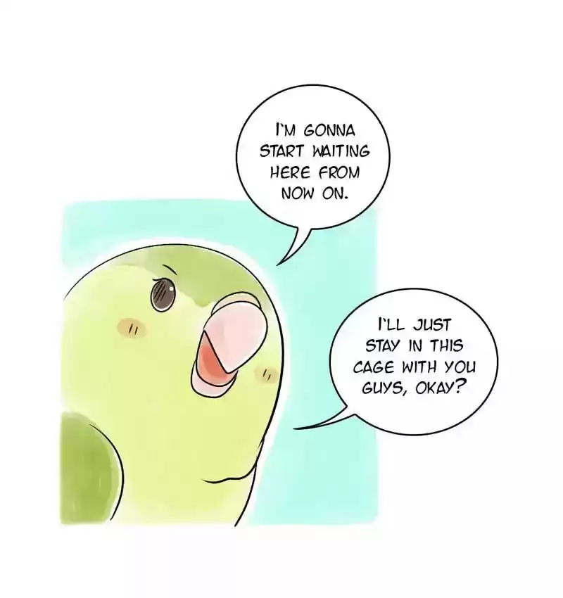 A Budgie's Life Chapter 110: Ep.110: