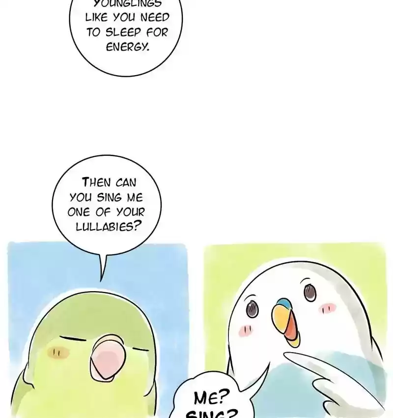 A Budgie's Life Chapter 110: Ep.110: