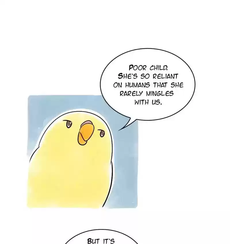 A Budgie's Life Chapter 110: Ep.110: