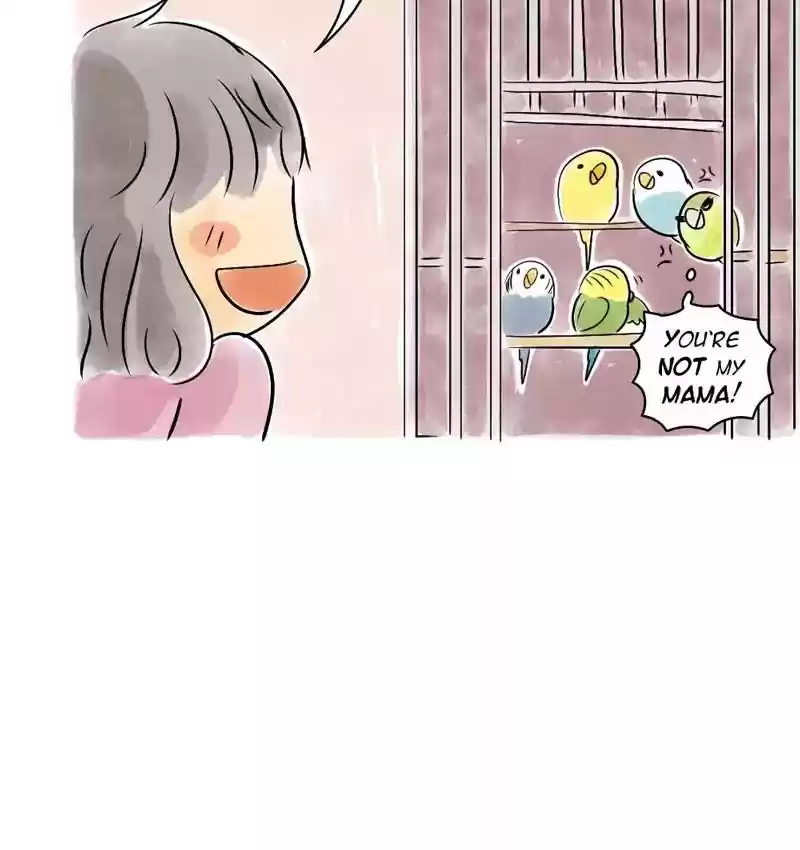 A Budgie's Life Chapter 110: Ep.110: