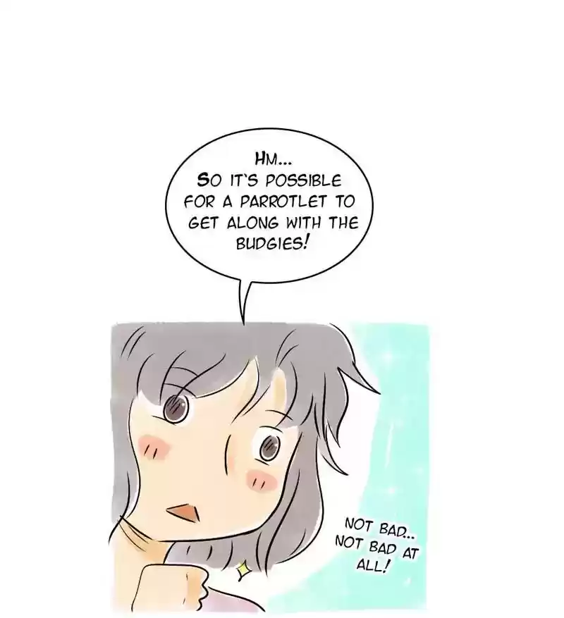 A Budgie's Life Chapter 110: Ep.110: